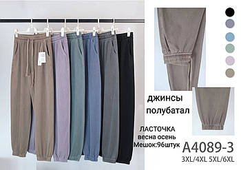 Джогери жіночі бавовна Ластівка, розмір 3XL-4XL, асорті, А4089-3