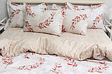 Постільна білизна ранфорс R-T9167, фото 2