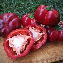 Насіння перцю