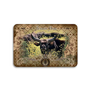 Магніт хдф 90х60 "Асканія Нова" (буйвол)