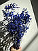 Гіпсофіла синя стабілізована 1 гілочка для створення букетів, декору приміщень або предметної зйомки, фото 2