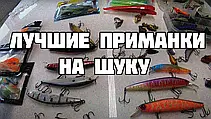 Найкращі принади для лову щуки