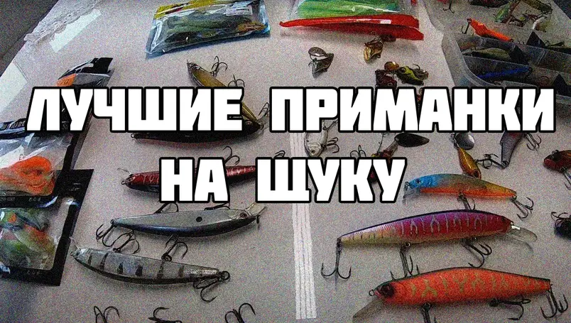 Найкращі принади для лову щуки