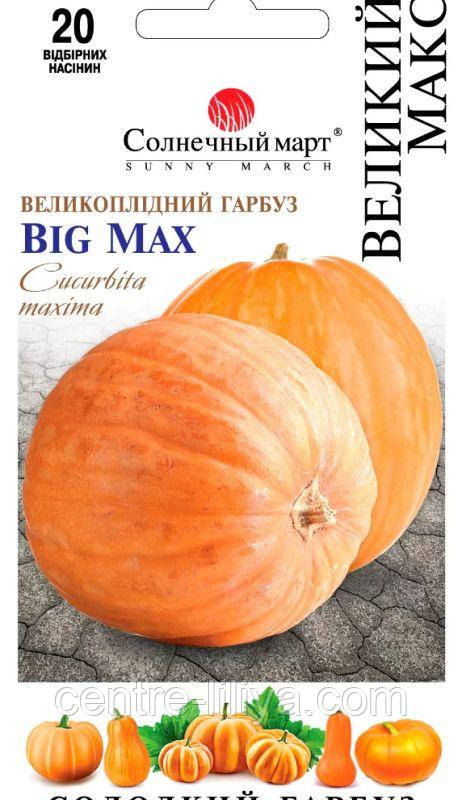 Насіння Гарбуз Великий Макс 20 шт., СМ