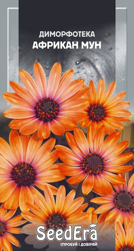 Насіння квіти Диморфотека Африкан Мун Seedera 0.2 г, фото 1