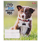 Зошит шкільний Мрії Збуваються 12арк коса з доп. лінією арт. 3175, фото 2