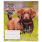 Зошит шкільний Мрії Збуваються 12арк коса з доп. лінією арт. 3175, фото 4