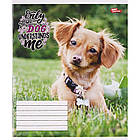 Зошит шкільний Мрії Збуваються 12арк коса з доп. лінією арт. 3175, фото 5