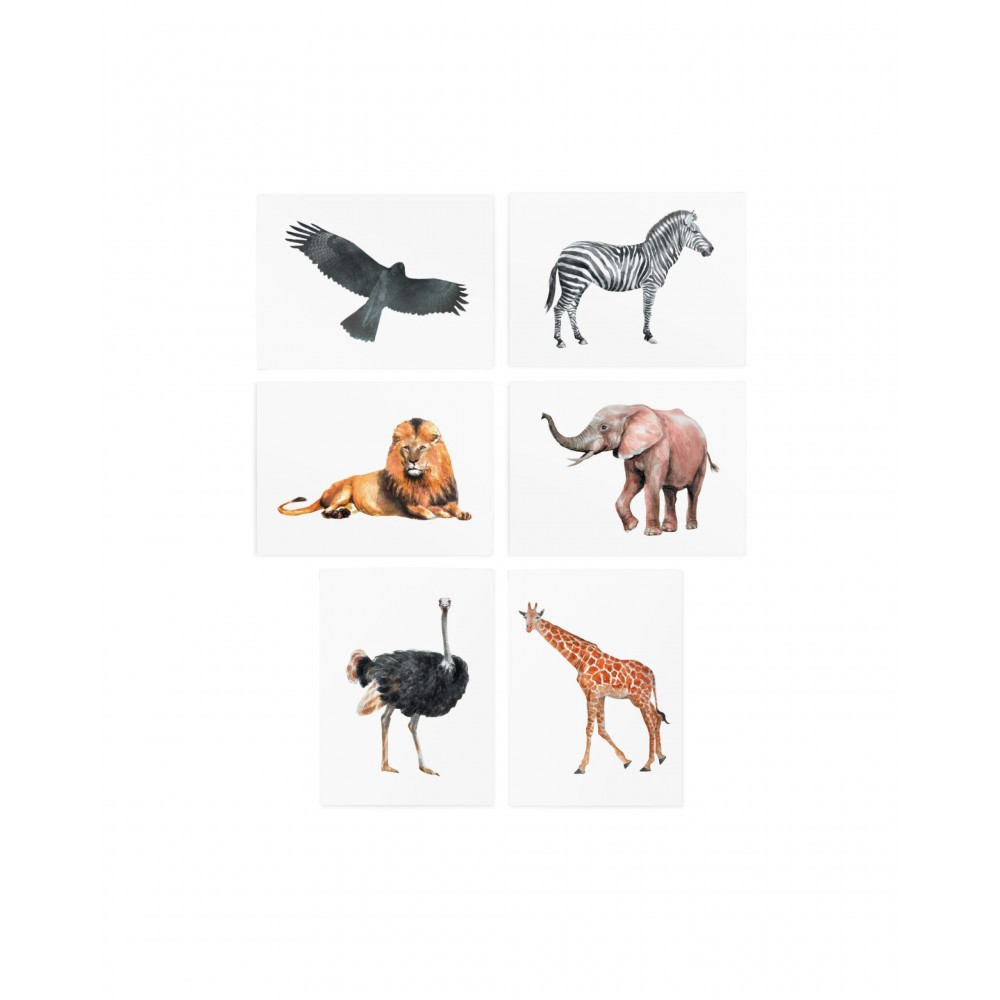 Тимчасові тату "Animal Set"/TATTon.me