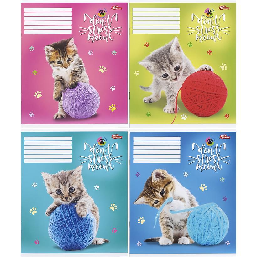 Зошит шкільний Мрії Збуваються 12арк в клітинку арт. 3357, фото 1