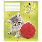 Зошит шкільний Мрії Збуваються 12арк в клітинку арт. 3357, фото 4