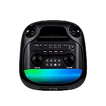 Акустична система на акумуляторі Temeisheng 6838A, 8" *2 Переносна Bluetooth колонка, + 2 мікрофони, фото 4