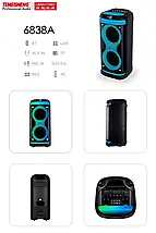 Акустична система на акумуляторі Temeisheng 6838A, 8" *2 Переносна Bluetooth колонка, + 2 мікрофони, фото 3