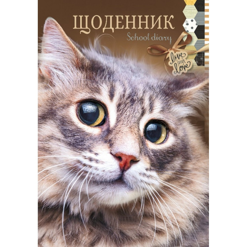 Щоденник шкільний A5 23031/6248 40 аркушів скоба м'яка обкладинка/Мандарин