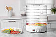 Сушарка для фруктів і овочів MOZANO Dehydrator 500 Вт White (500 Вт, 6 сит, білий, Польща), фото 7