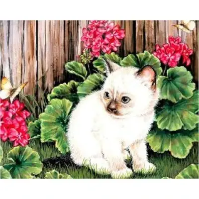 Алмазна мозаїка на підрамнику картина стразами 30х40 см DIY Кошеня (SGLD60767 - S), фото 1