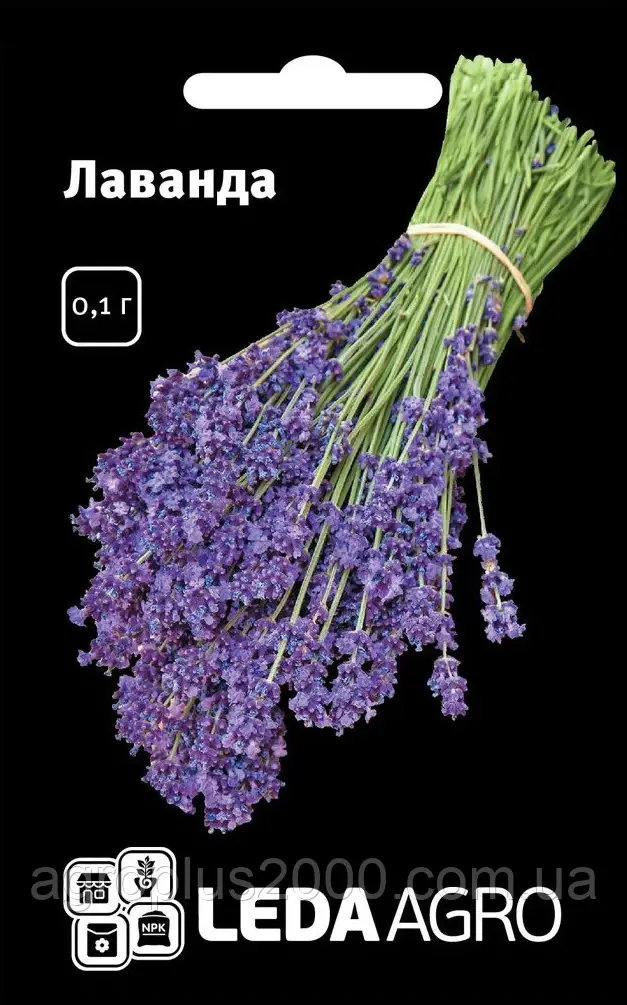 Насіння Лаванда 0,1 грама Hem Zaden LedaAgro