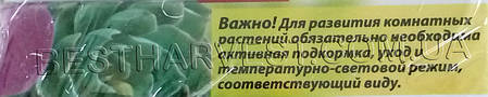 Цитокининовая Паста 1.5 мл, фото 3