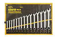 Ключі ріжково-накидні MASTERTOOL набір 15 шт (6-19/22 мм) PROF DIN3113 довічна гарантія 72-0115