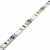 LED-стрічка 5 Вт 12 В 550 Лм, SMD2835 60 діодів, нейтральний білий 4500 K, серія Shade, гарантія 2 роки SL-1, фото 5