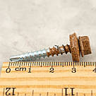 Саморіз RAL 0001 4,8х35 (колір - золотий дуб) в дерево (покрівля/фасад) з шестигранною головкою та шайбою EPDM, фото 5