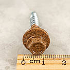 Саморіз RAL 0001 4,8х35 (колір - золотий дуб) в дерево (покрівля/фасад) з шестигранною головкою та шайбою EPDM, фото 6