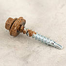 Саморіз RAL 0001 4,8х35 (колір - золотий дуб) в дерево (покрівля/фасад) з шестигранною головкою та шайбою EPDM, фото 3