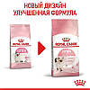 Royal Canin (Роял Канін) Kitten — Сухий корм для кошенят 8+2 кг, фото 3