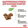 Royal Canin (Роял Канін) Kitten — Сухий корм для кошенят 8+2 кг, фото 5