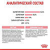 Royal Canin (Роял Канін) Kitten — Сухий корм для кошенят 8+2 кг, фото 6
