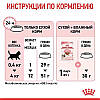 Royal Canin (Роял Канін) Kitten — Сухий корм для кошенят 8+2 кг, фото 7