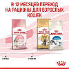 Royal Canin (Роял Канін) Kitten — Сухий корм для кошенят 8+2 кг, фото 8