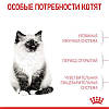 Royal Canin (Роял Канін) Kitten — Сухий корм для кошенят 8+2 кг, фото 10