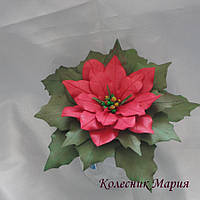 Рождественский цветок Пуансеттия (основа на выбор)