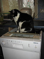 Запчастини б/у для посудомийних машин