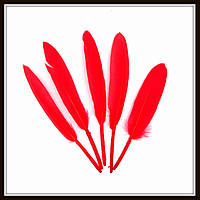 Перья натуральные ярко-красные (10 штук)