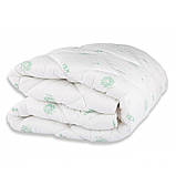 Ковдра "DREAM COLLECTION" ALOE VERA 150*210 см (350 г/м2) (microfiber), фото 4