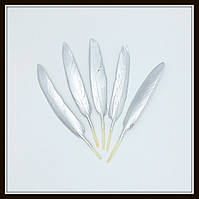 Пір'я натуральне срібне (1 штука)