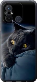 Чохол на Xiaomi Redmi 12C Димчастий кіт "825u-2962-5939"