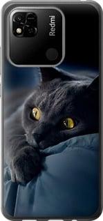Чохол на Xiaomi Redmi 10A Димчастий кіт "825u-2578-5939"