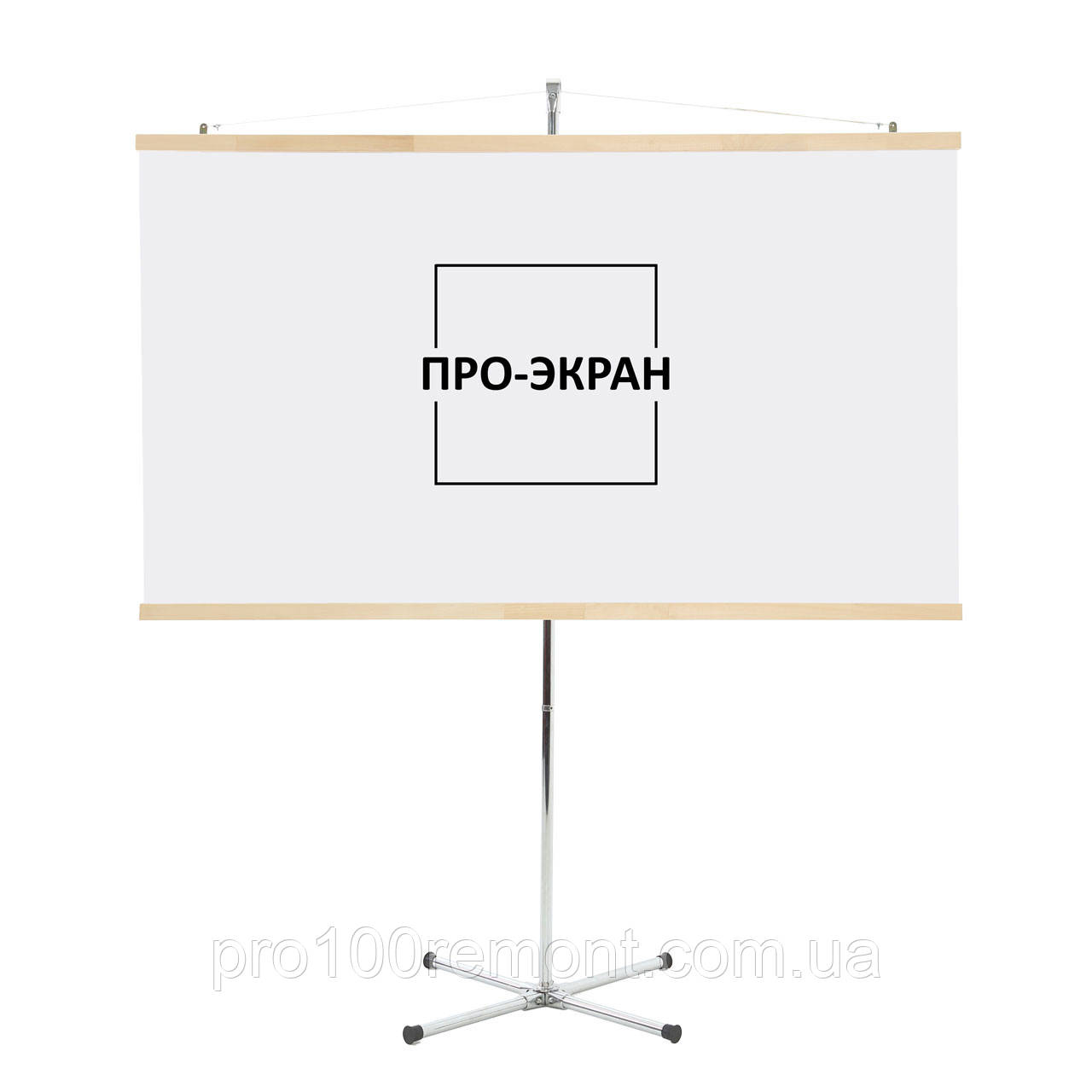 Екран для проєктора на штативі (тринозі) 250 на 140 см, 113"