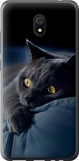 Чохол на Xiaomi Redmi 8A Димчастий кіт "825t-1794-5939"