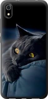 Чохол на Xiaomi Redmi 7A Димчастий кіт "825t-1716-5939"