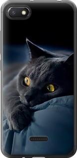 Чохол на Xiaomi Redmi 6A Димчастий кіт "825u-1531-5939"
