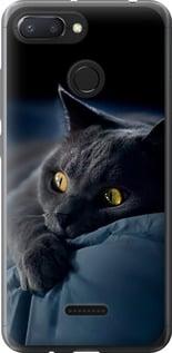 Чохол на Xiaomi Redmi 6 Димчастий кіт "825t-1521-5939"