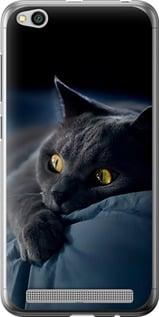 Чохол на Xiaomi Redmi 5A Димчастий кіт "825u-1133-5939"