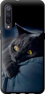 Чохол на Xiaomi Mi9 Димчастий кіт "825b-1648-5939"
