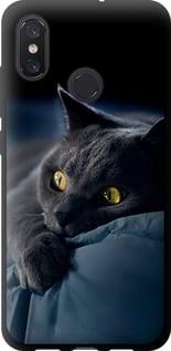 Чохол на Xiaomi Mi8 Димчастий кіт "825b-1499-5939"