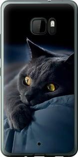 Чохол на HTC U Ultra Димчастий кіт "825u-833-5939", фото 1