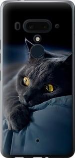 Чохол на HTC U12 Plus Димчастий кіт "825u-1712-5939", фото 1